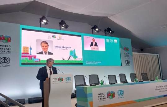 Dmitry Mariyasin, Deputy Executive Secretary of the United Nations Economic Commission for Europe (UNECE)