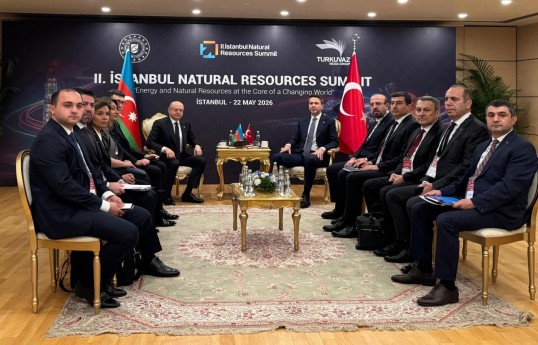 Azerbaijan's Energy Minister held meetings with the Energy Ministers of Türkiye and Moldova in Istanbul