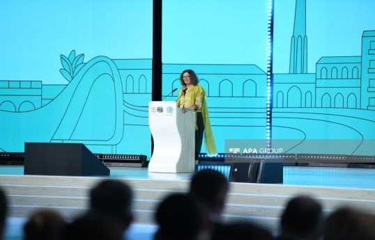 Ana Falú, co-founder of the Latin American Women and Habitat Network