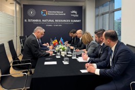 Azerbaijan's Energy Minister held meetings with the Energy Ministers of Türkiye and Moldova in Istanbul