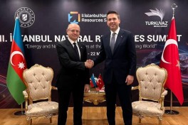 Azerbaijan's Energy Minister held meetings with the Energy Ministers of Türkiye and Moldova in Istanbul