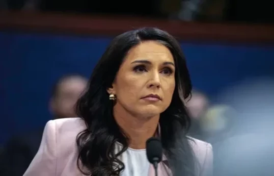 Tulsi Gabbard