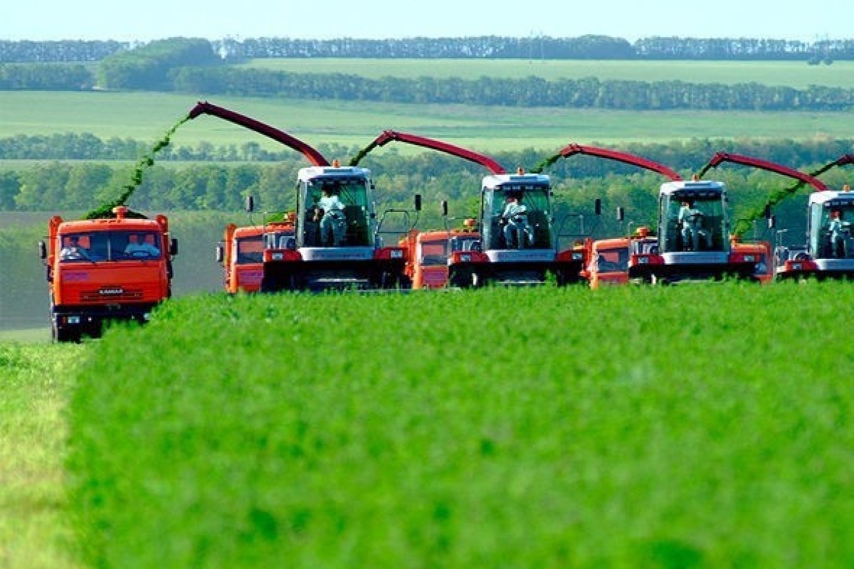 Azerbaijan approves new State Program for development of agriculture