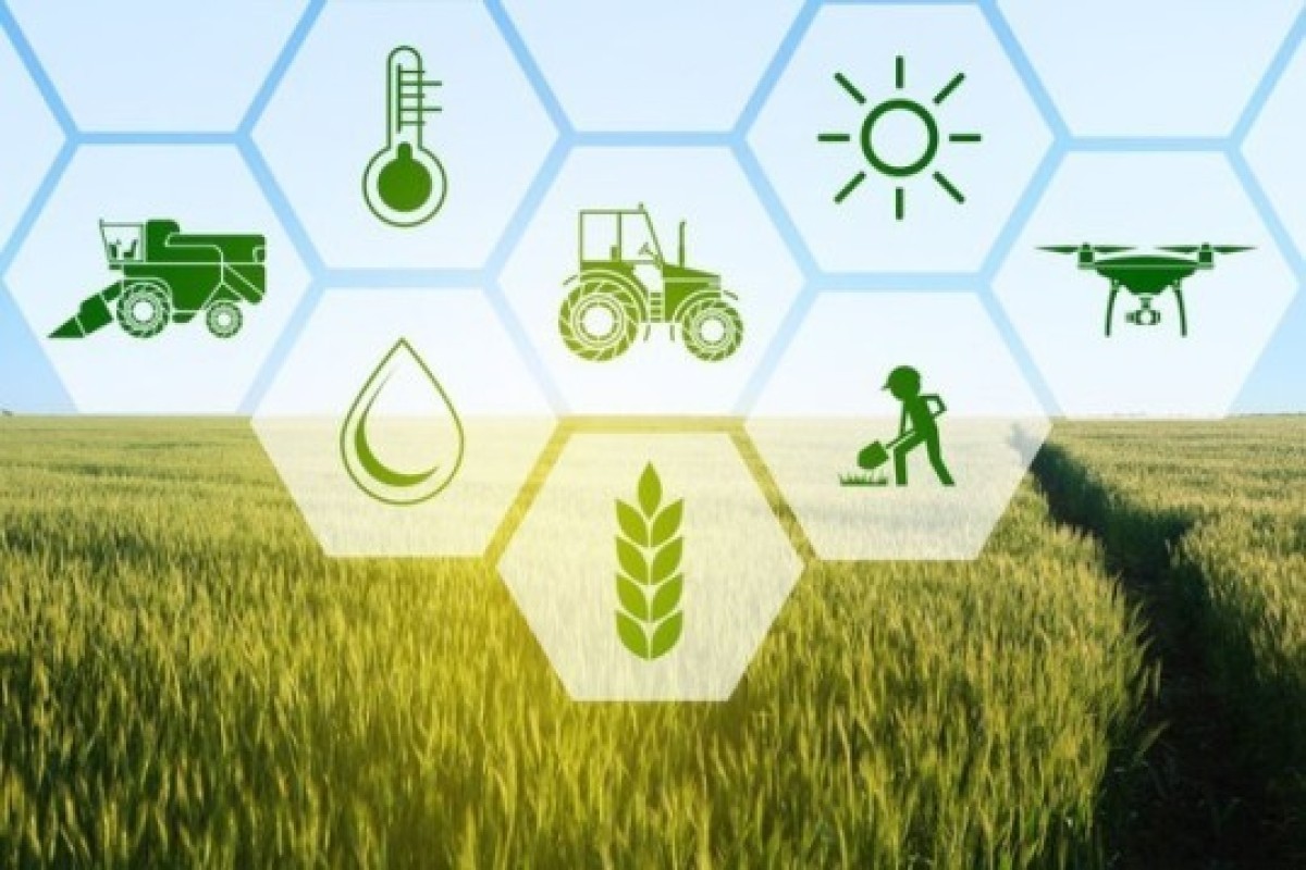 Agrarian information and advisory system to be established in Azerbaijan