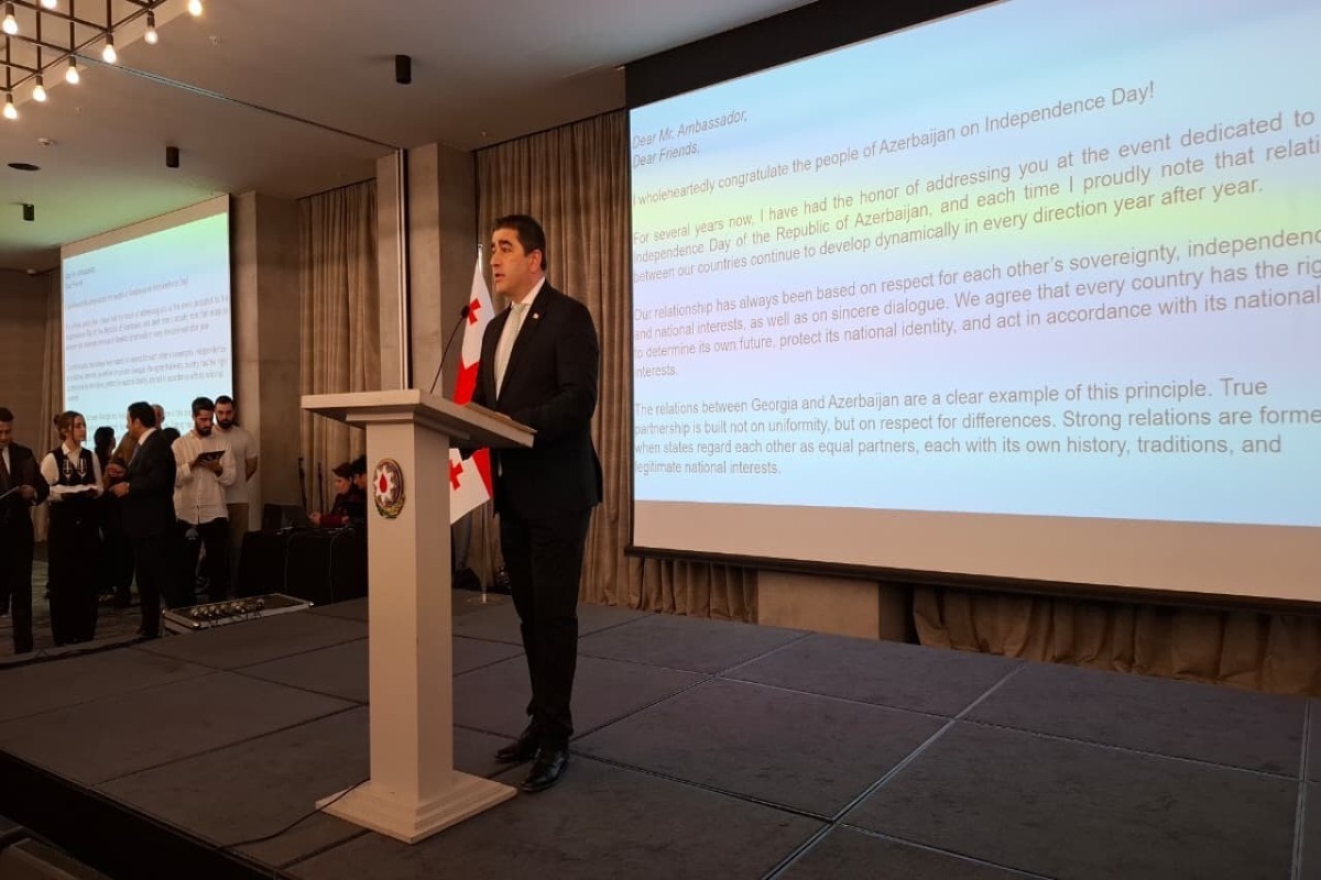 Georgian Parliament Speaker: Relations with Azerbaijan are developing dynamically