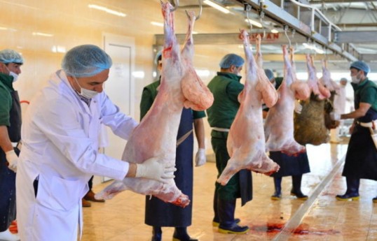 Azerbaijan to produce veterinary drugs