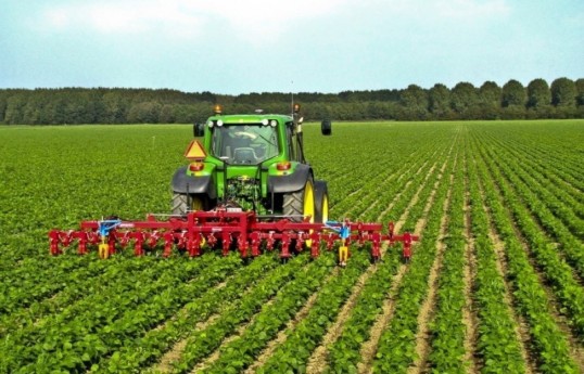 Azerbaijan to introduce detection system for harmful organisms in crop production sector