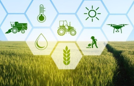 Agrarian information and advisory system to be established in Azerbaijan