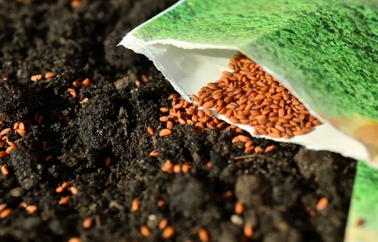 Azerbaijan to establish genetic material banks for local animal breeds and plant species