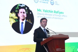 Azerbaijan-Africa relations discussed in Baku - PHOTO 