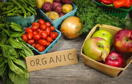 Exemplary organic farm models to be established in Azerbaijan