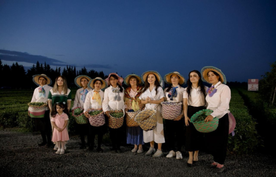 Leyla Aliyeva visits "Yashil Chay" farm in Lankaran