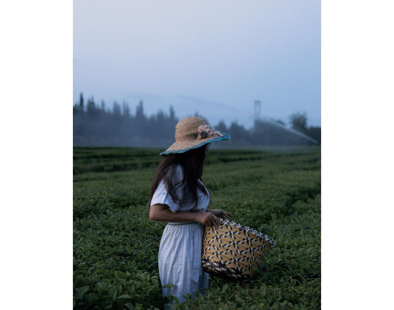 Leyla Aliyeva visits "Yashil Chay" farm in Lankaran