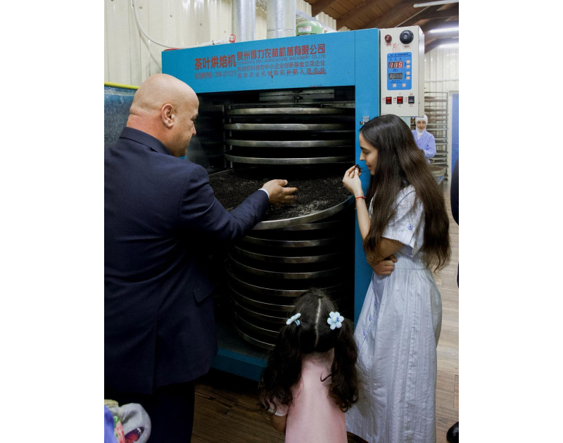 Leyla Aliyeva visits "Yashil Chay" farm in Lankaran