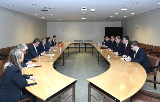 Azerbaijan and Portugal discuss energy security in New York - PHOTO 