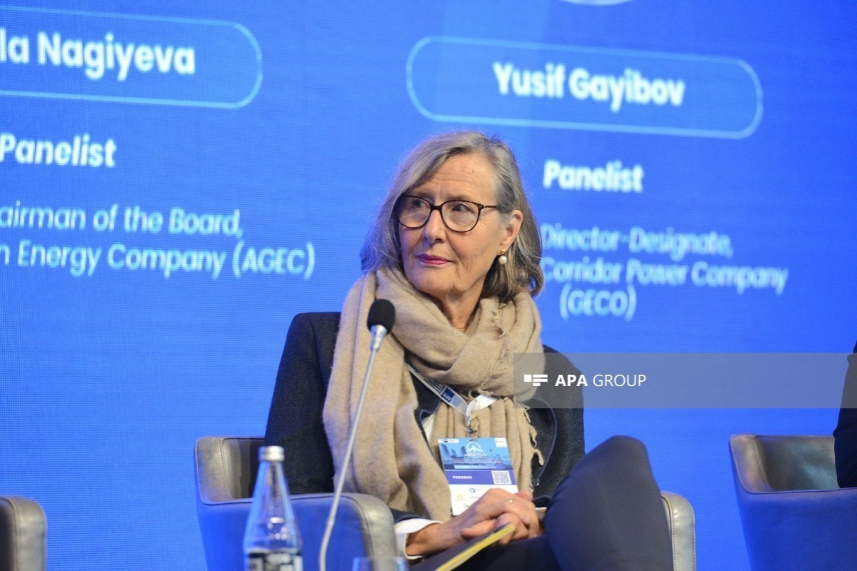Kristina Haverkamp, Managing Director of the German Energy Agency