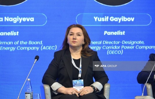 Deputy Chairperson of the Management Board of Azerbaijan Green Energy Company (AGEC) Khayala Naghiyeva