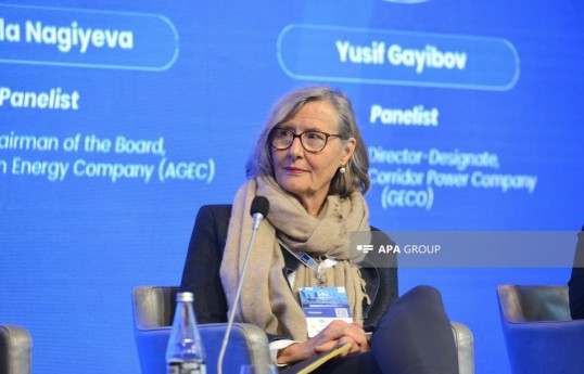 Kristina Haverkamp, Managing Director of the German Energy Agency
