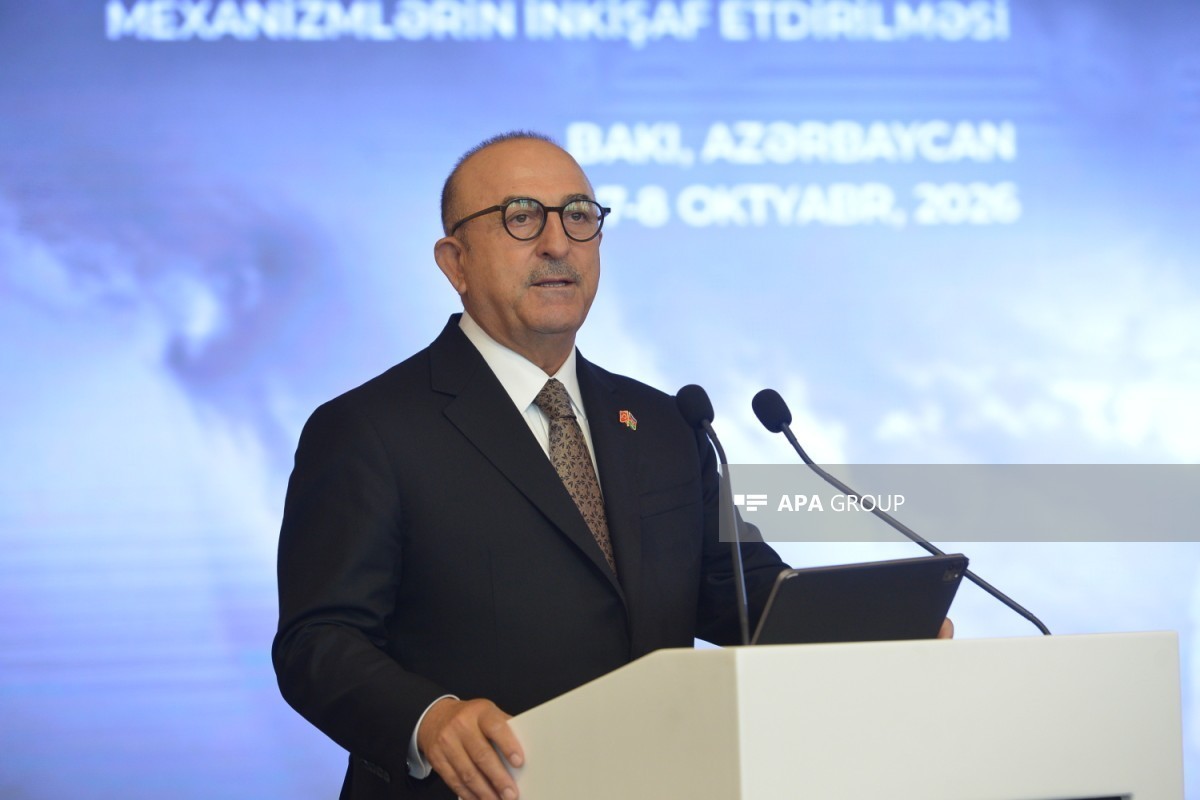 Turkish MP and former Foreign Minister Mevlut Cavusoglu