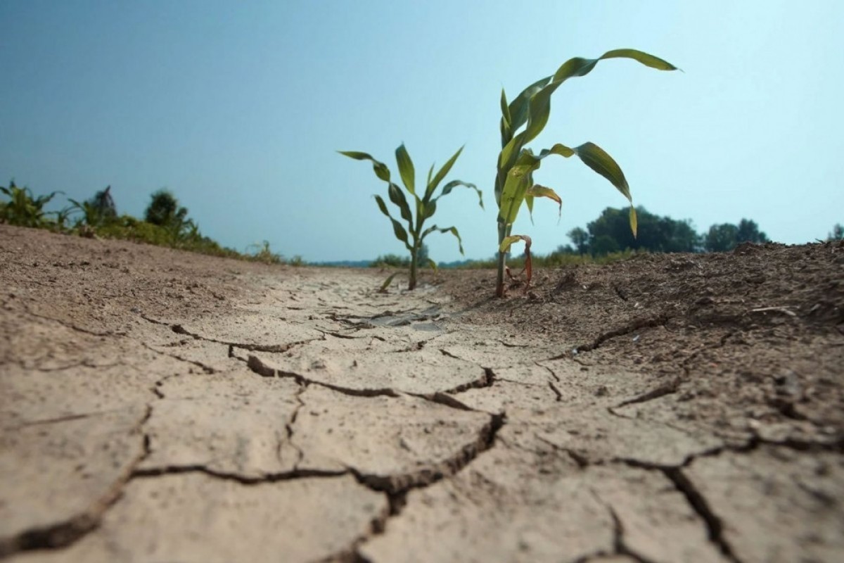 Mitigation of climate change impacts regulated for first time in agricultural legislation