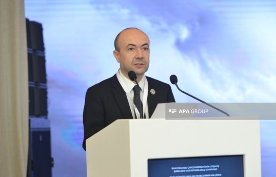 Deputy Foreign Minister of Azerbaijan Fariz Rzayev