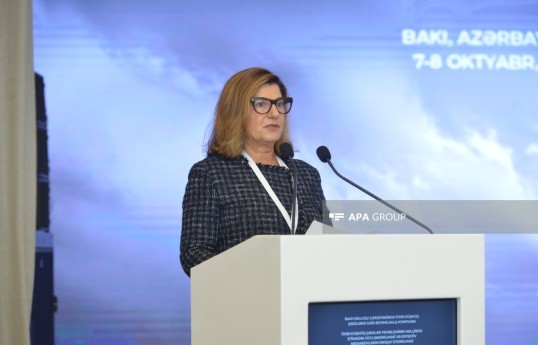 Director-General of the International Commission on Missing Persons (ICMP) Kathryne Bomberger