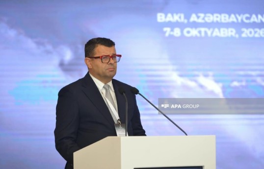 Bosnia and Herzegovina's Minister for Human Rights and Refugees Sevlid Hurtić