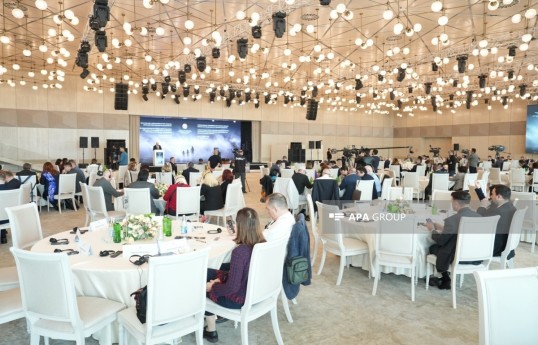 Strengthening humanitarian cooperation discussed at international conference on missing persons - PHOTO 