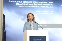 Strengthening humanitarian cooperation discussed at international conference on missing persons - PHOTO 