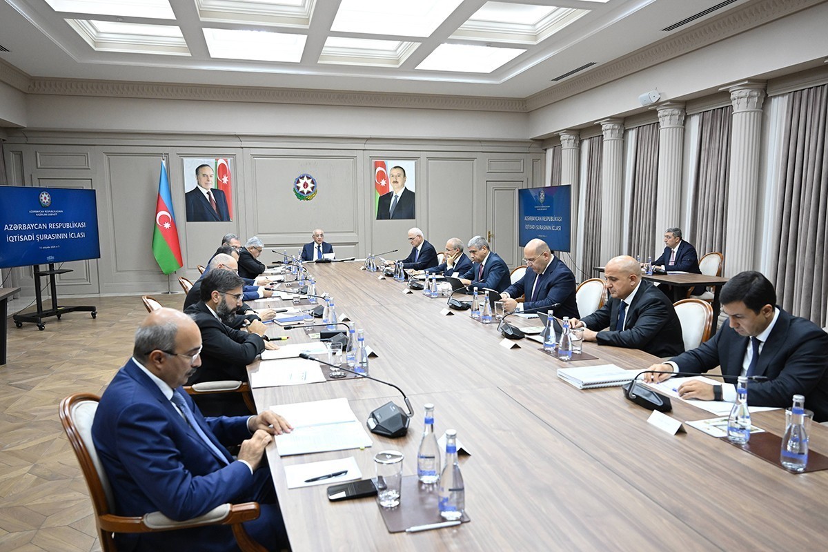 Economic Council discusses development prospects of oil and gas industry
