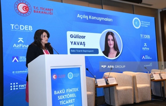 Turkish official: Foreign investments may shift to Azerbaijan amid regional tensions
