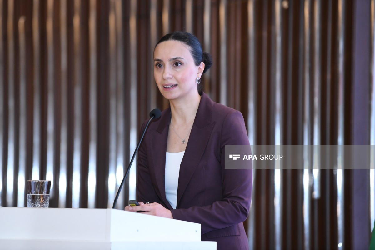 Turkan Vusat, Head of the Public-Private Partnership Sector of the Project Management Department at the Ministry of Economy