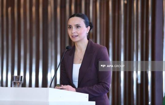 Turkan Vusat, Head of the Public-Private Partnership Sector of the Project Management Department at the Ministry of Economy