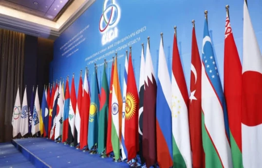 CICA Secretary General replaced