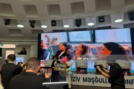 First international conference on inclusive employment held in Baku