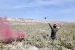 MoD: Tasks successfully carried out during Azerbaijan-UAE joint tactical flight exercise