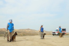 Working Group on mine and unexploded ordnance clearance holds meeting in Jabrayil