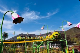 Ukrainian children brought to Azerbaijan visit Gabala and Sheki