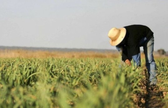 Azerbaijan to introduce work permit exemptions for foreign agronomists and veterinarians