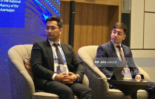 Elkhan Sadigli: Government agencies should not grant AI direct access to systems