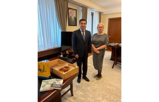Swedish ambassador meets with Hikmat Hajiyev