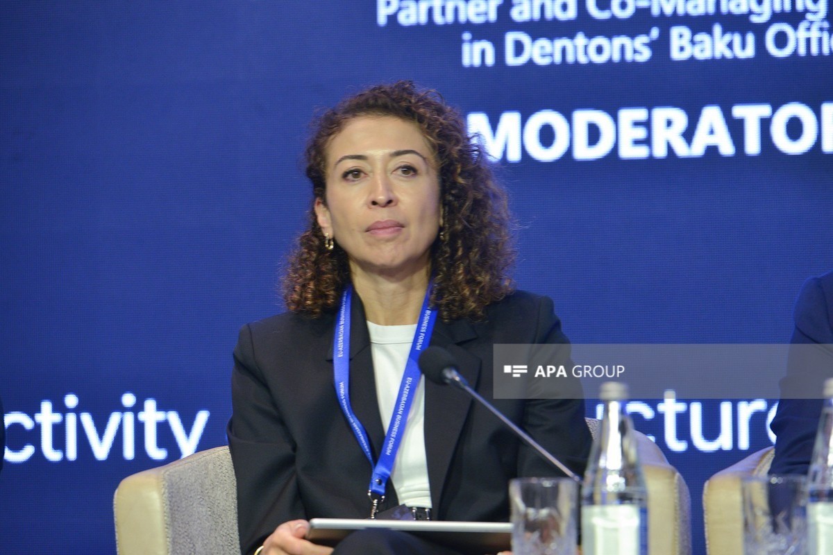 Nargis Wieck, Executive Director and Board Member of the German-Azerbaijani Chamber of Commerce