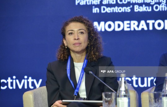 Nargis Wieck, Executive Director and Board Member of the German-Azerbaijani Chamber of Commerce