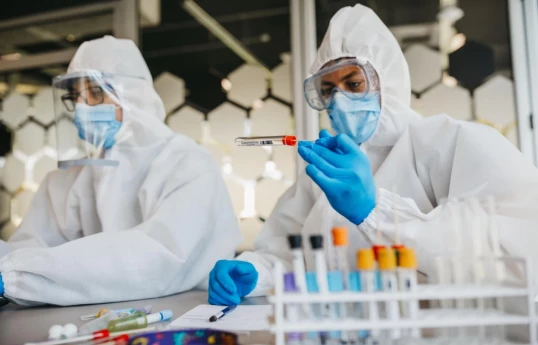 France reports first human Shamonda virus case