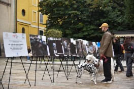 Campaign events across Europe highlight landmine threat in Azerbaijan-PHOTO 