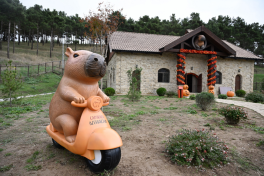 Leyla Aliyeva visits Capybara Azerbaijan farm in Shamakhi