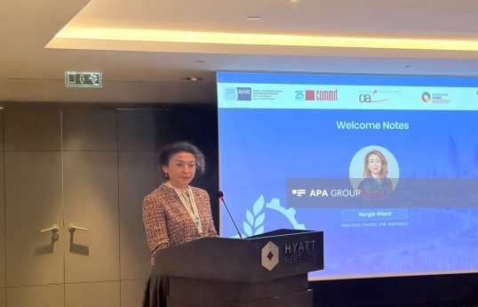 Nargiz Wieck, Executive Director of the German-Azerbaijani Chamber of Commerce (AHK Azerbaijan)