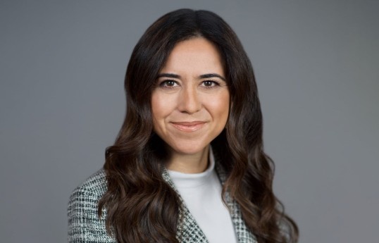Lana Zaki Nusseibeh, Minister of State of the United Arab Emirates