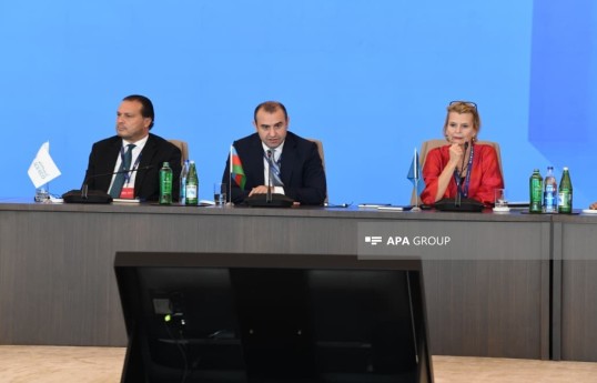 Deputy minister: Proposals from Baku Forum to be reflected in final document