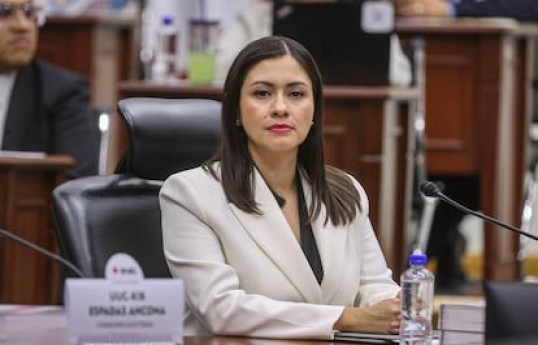 Mexico's electoral body INE names Blanca Cruz interim chief